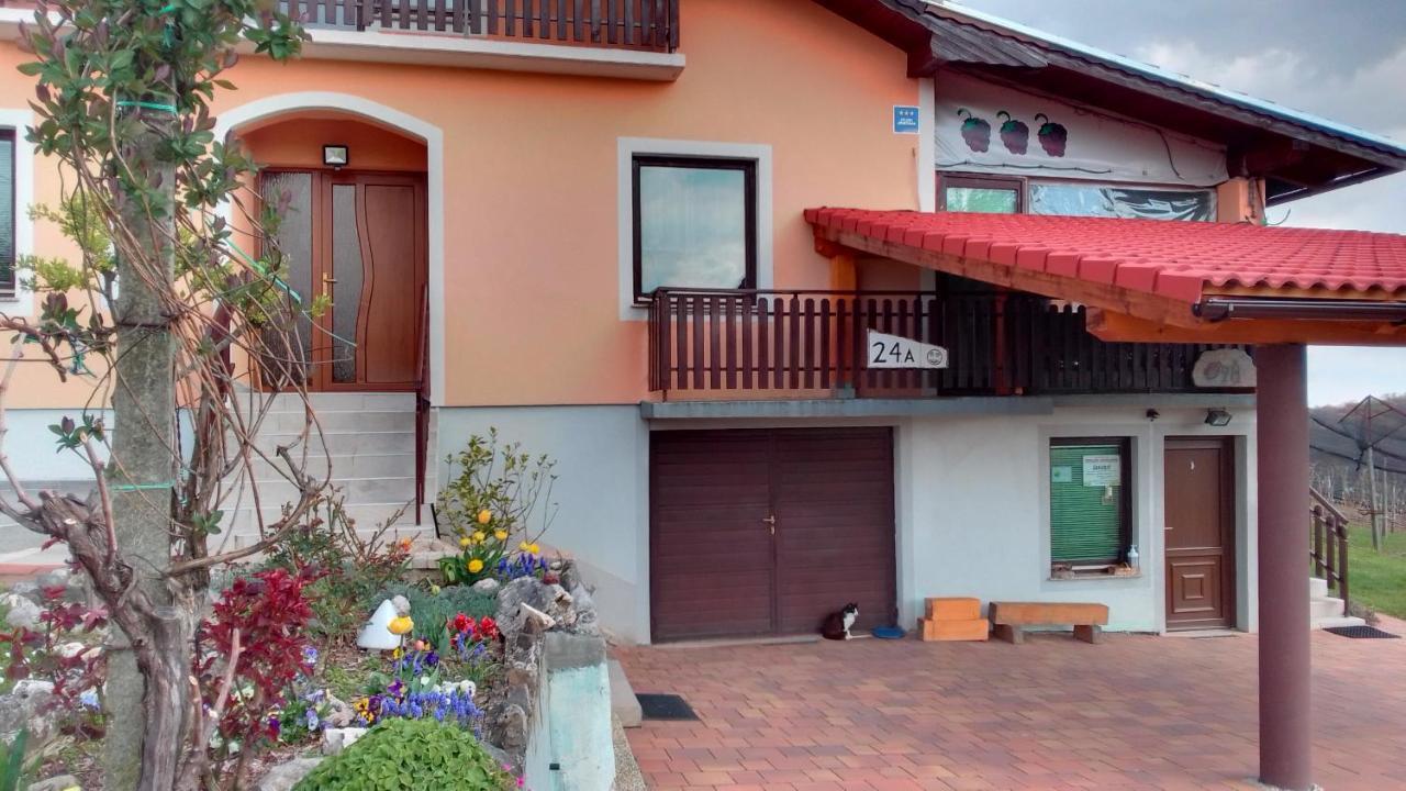 Studio Apartman Safaric Свети Мартин на Мури Екстериор снимка