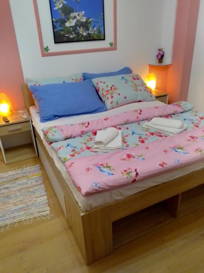 Studio Apartman Safaric Свети Мартин на Мури Екстериор снимка
