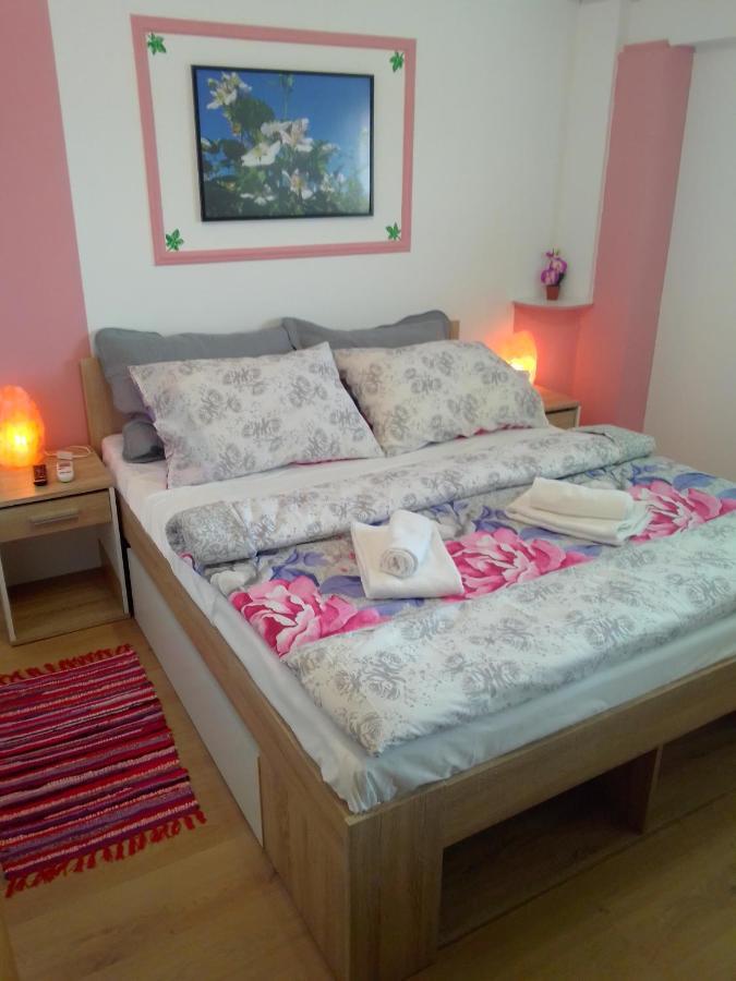 Studio Apartman Safaric Свети Мартин на Мури Екстериор снимка
