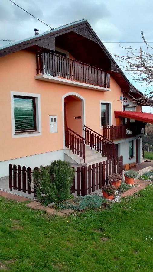 Studio Apartman Safaric Свети Мартин на Мури Екстериор снимка