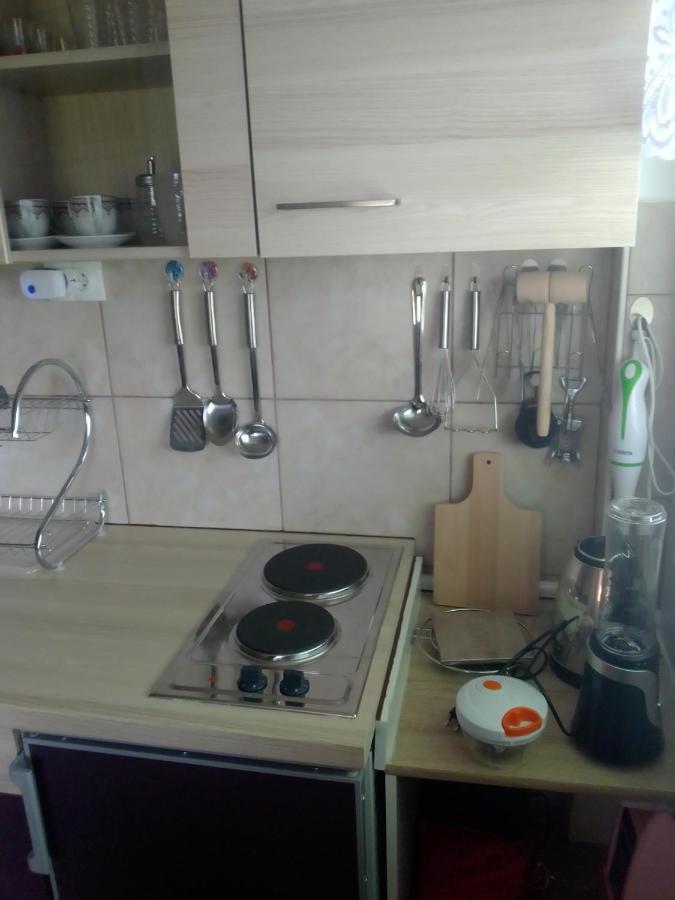 Studio Apartman Safaric Свети Мартин на Мури Екстериор снимка